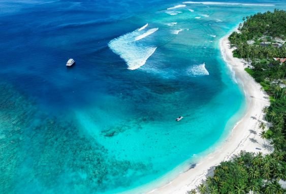 Sibon Baru - Crystal Ocean